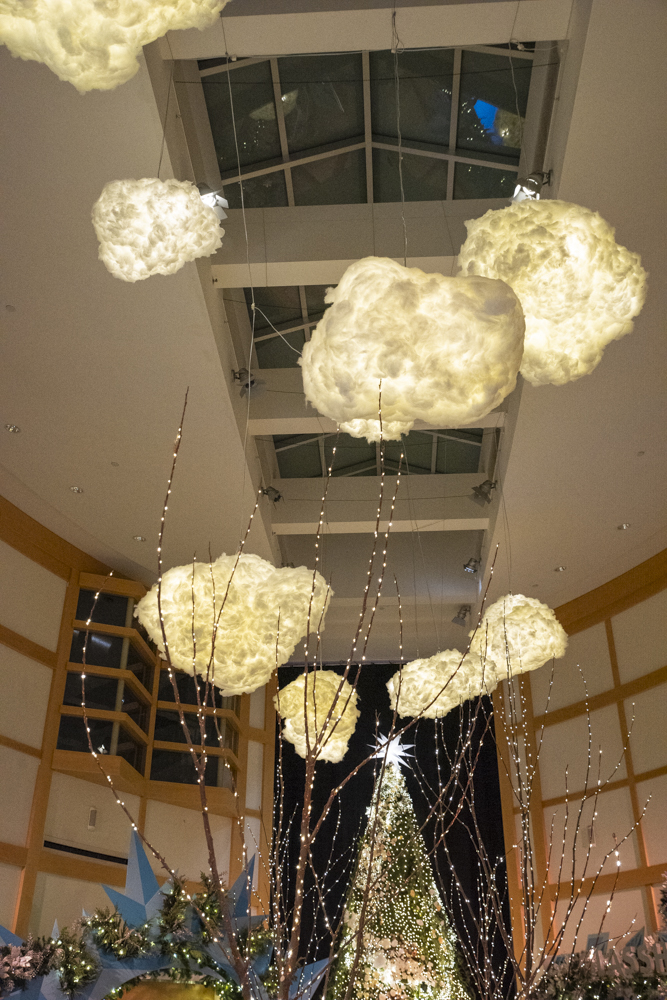 Frost – Cleveland Botanical Garden